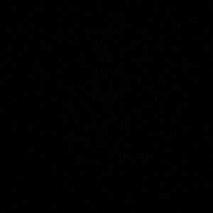 Meet your Posher, Colette